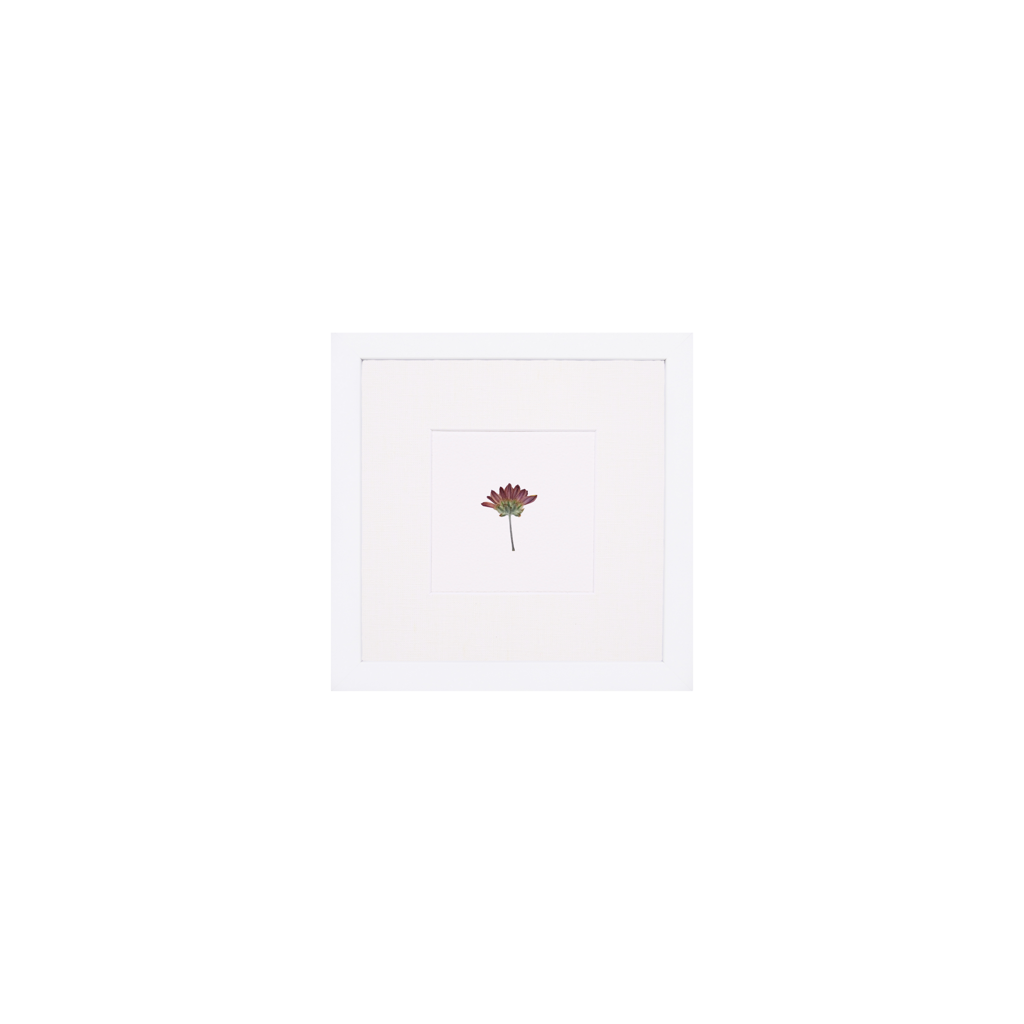 Month:November;Color:Solid White;